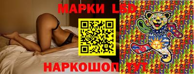 сатива Кунгур