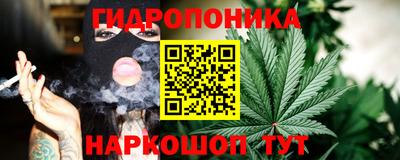 сатива Кунгур