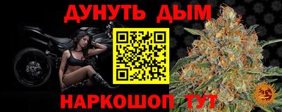 сатива Кунгур