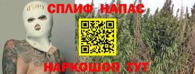сатива Кунгур
