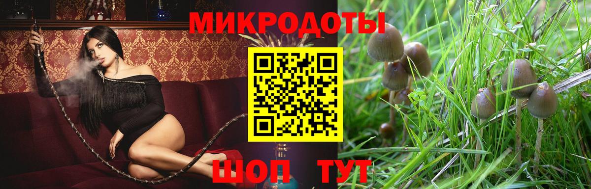Киселёвск  Канабис  A PVP СОЛЬ   ГАШ  ГЕРОИН  Кокаин  Вход с VPN  МЕФ кристаллы 