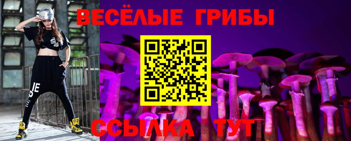 Псилоцибиновые грибы ЛСД  Псилоцибиновые грибы Cubensis  Киселёвск  Вход с VPN 