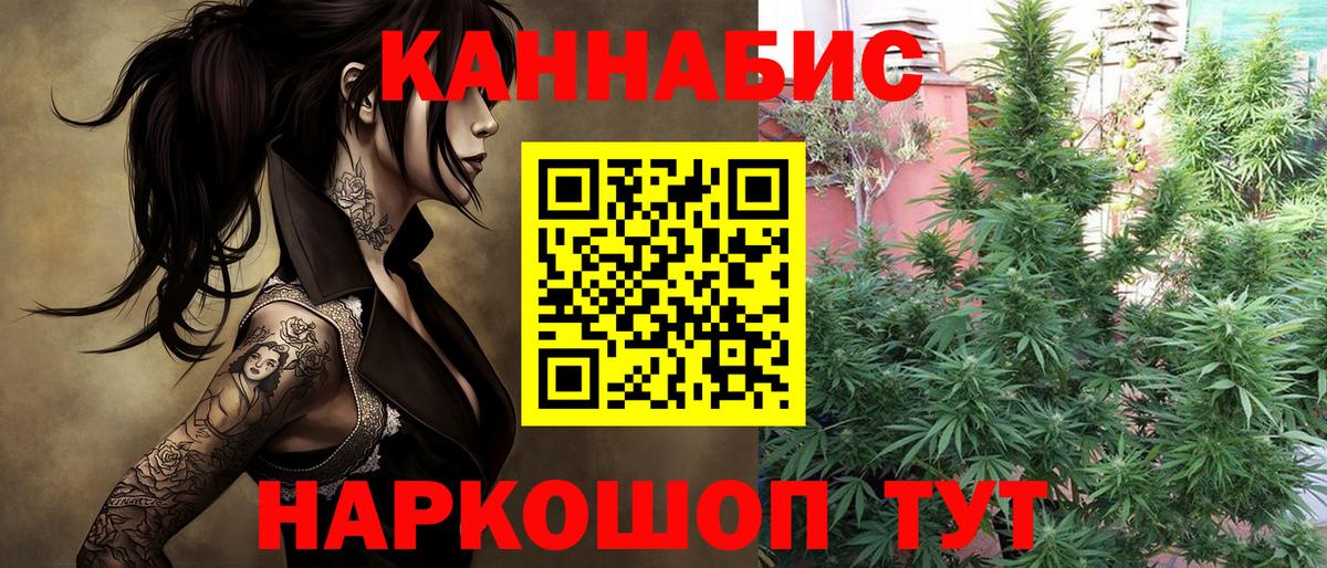 Киселёвск  Канабис конопля  Вход с VPN  Каннабис MAZAR  Шишки марихуана тримм  Бошки Шишки тримм 